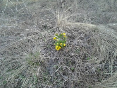 2014-04-19 07.45.21.jpg