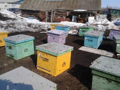 2014-03-23 15.10.08.jpg