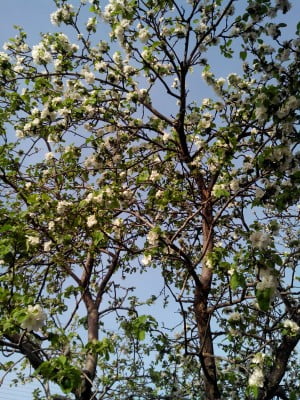 2014-05-11 07-28-38.JPG