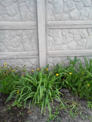 2014-05-11 07-29-20.JPG