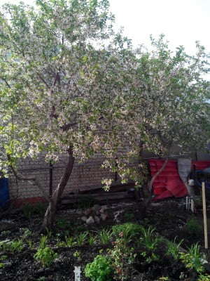 2014-05-11 07-26-42.JPG