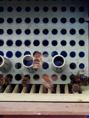 2014-05-11 07-32-55.JPG