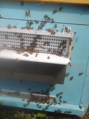 2014-05-09 14.51.18.jpg