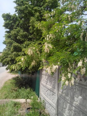 2014-05-21 12-13-25.JPG