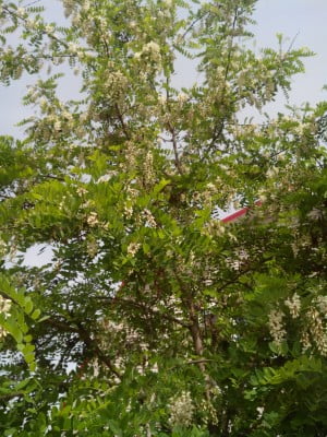 2014-05-21 12-13-39.JPG