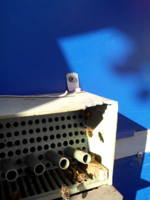 2014-05-22 07-52-38.JPG