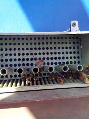 2014-05-22 08-05-26.JPG