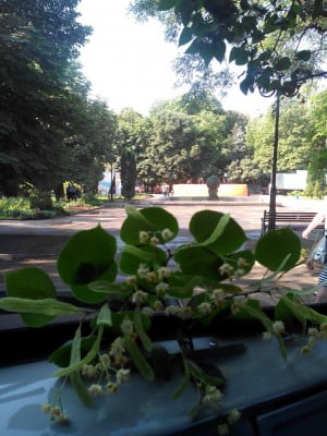 2014-06-05 08-49-40.JPG