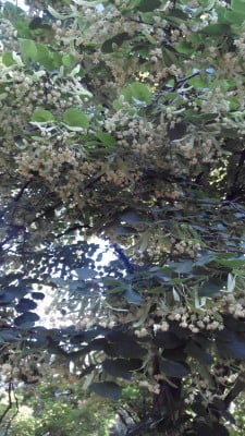 2014-06-05 08-56-18.JPG