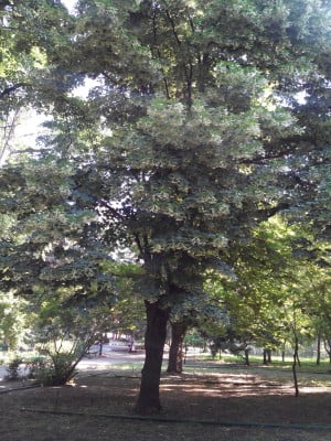 2014-06-05 08-50-47.JPG