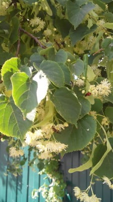 2014-06-10 17-18-09.JPG