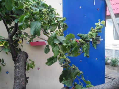 2014-06-11 09-27-31.JPG