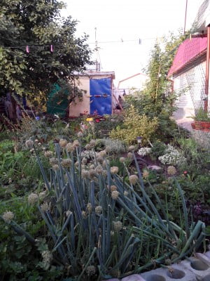 2014-07-03 05-54-43.JPG