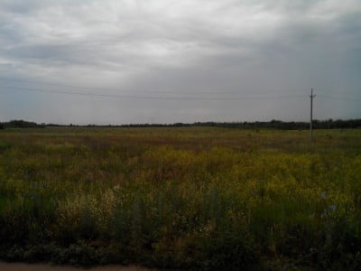 2014-07-03 09-00-41.JPG