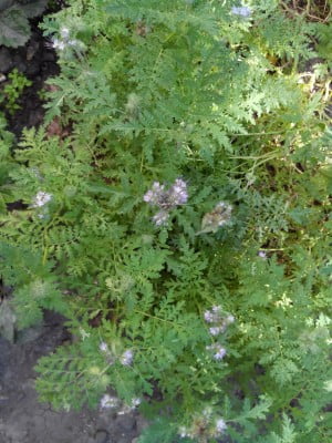 2014-07-29 15-39-04.JPG