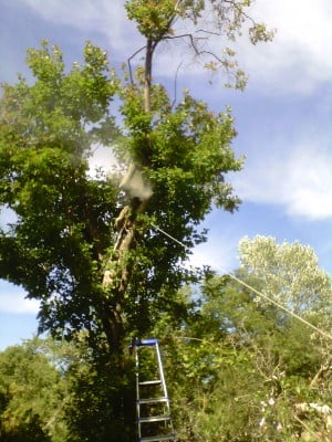 IMG_20140630_164140 (2).jpg