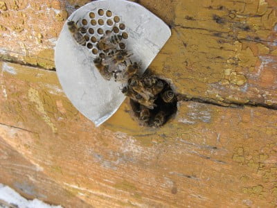 Изображение 019.jpg