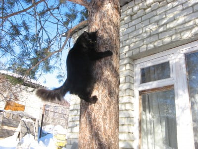 Изображение 025.jpg