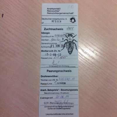 фото паспорта 5 14 г.jpg