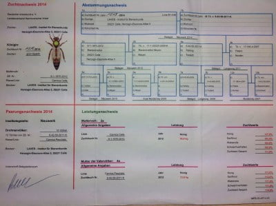 паспорт 1515.jpg