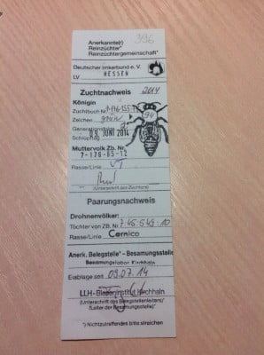 фото паспорта 2 14 г.jpg