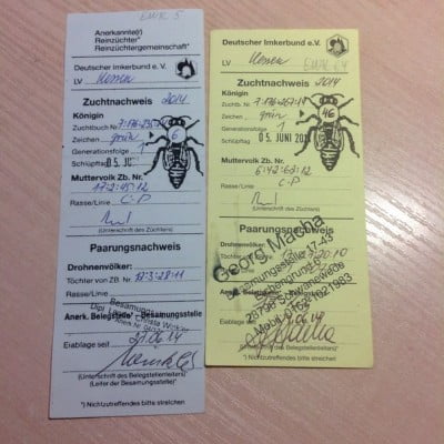 фото паспорта 1 14 г.jpg