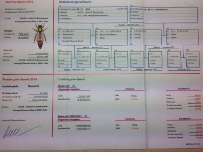 паспорт 1613.jpg